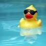 Reetoduck