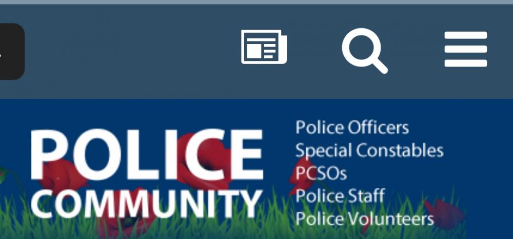 Cannot see "view new posts" option anymore