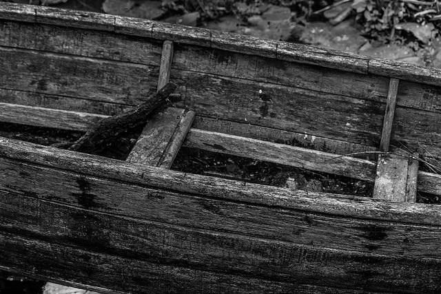 July 2016 Monthly Photographic Competition