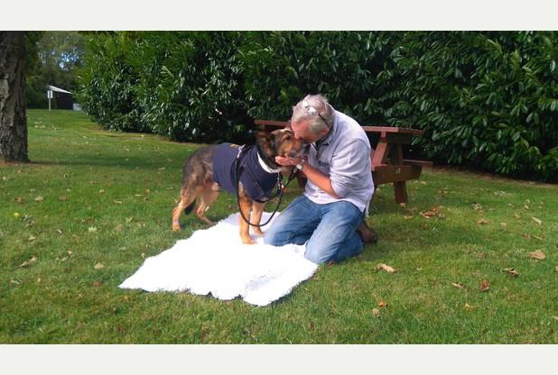 Police dog and officer stabbed in Stevenage armed robber chase