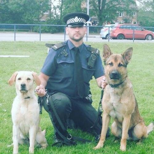 Merseyside Police dog killed while on duty