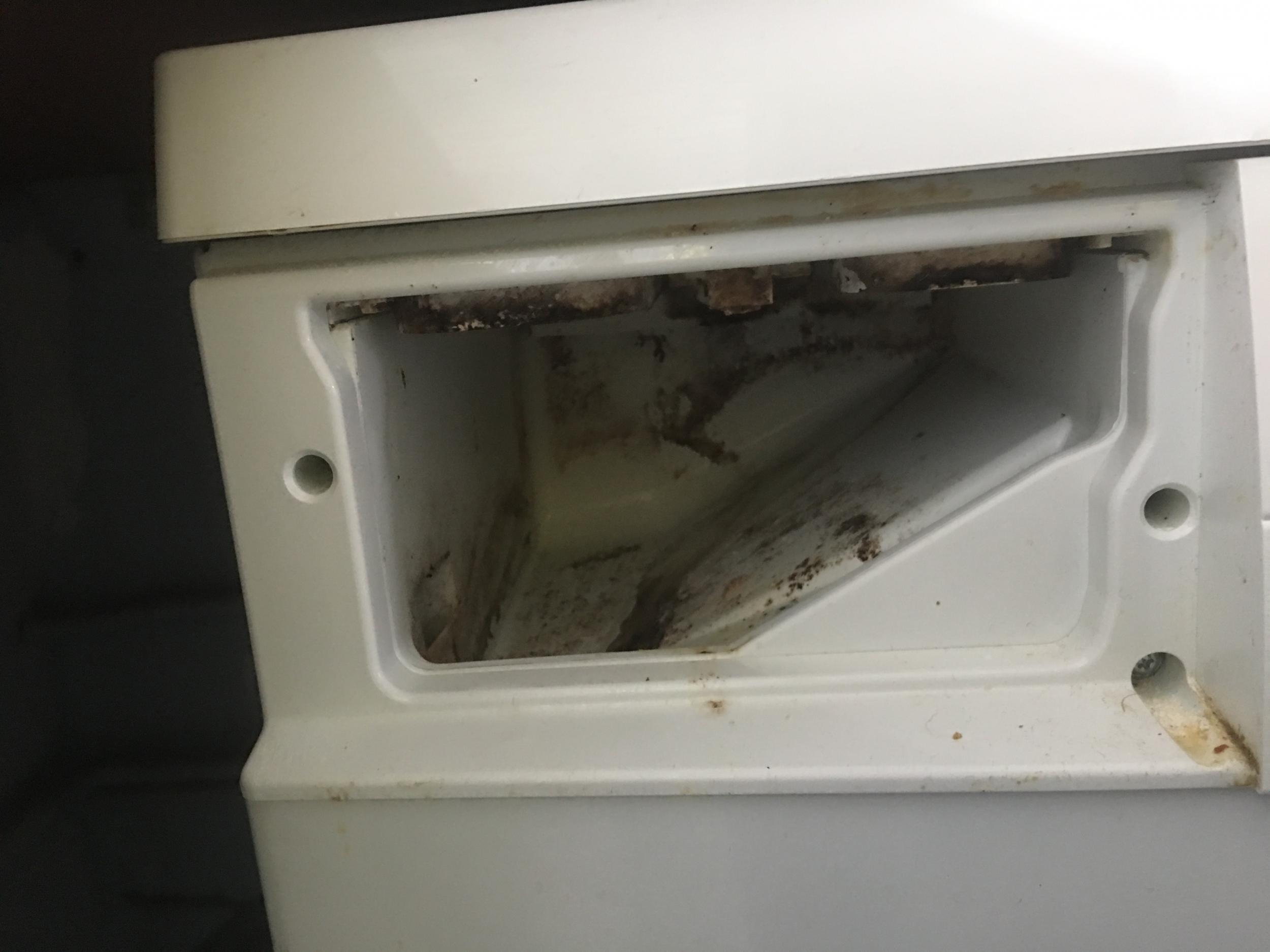 Cleaning washing machine